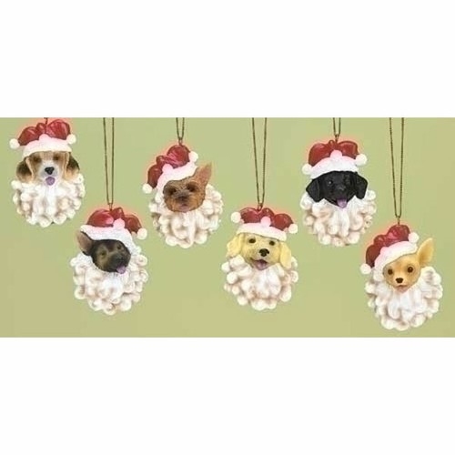 Santa puppies jester hat and - w/jester,