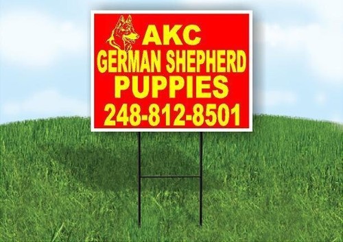 Akc german shepherd 248812 - german,