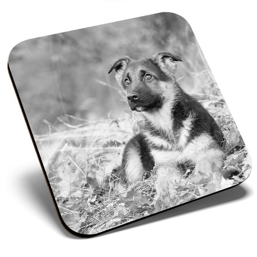 Square single coaster - square,