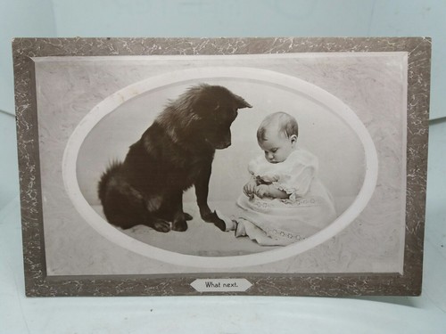 Curious baby with - curious, equally