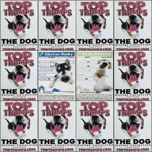 Top trumps single - card, dog