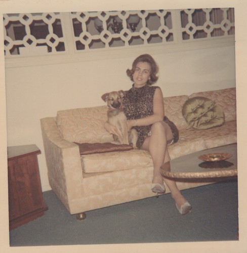 Pretty woman puppy - woman, german