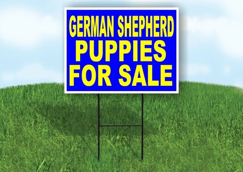 German shepherd puppies for - german,