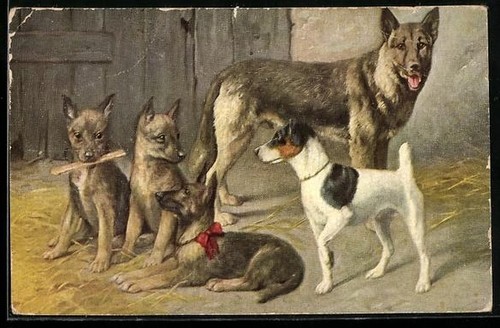 German shepherd with puppies - shepherd,