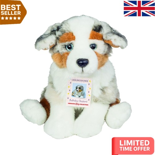 Charming australian shepherd - australian,