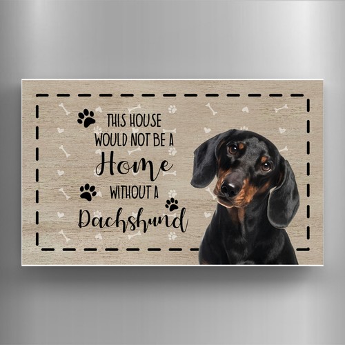Dachshund fridge magnet dog - fridge,