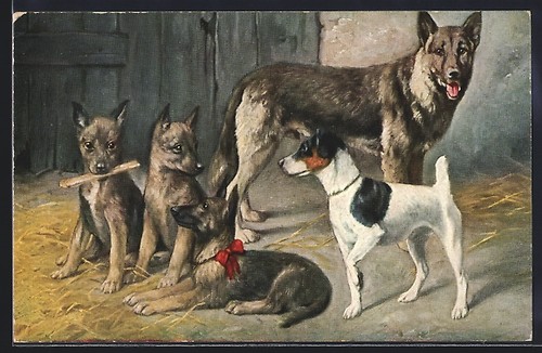German shepherd with puppies - german,