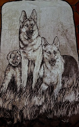 Vtg san marcos blanket - marcos,