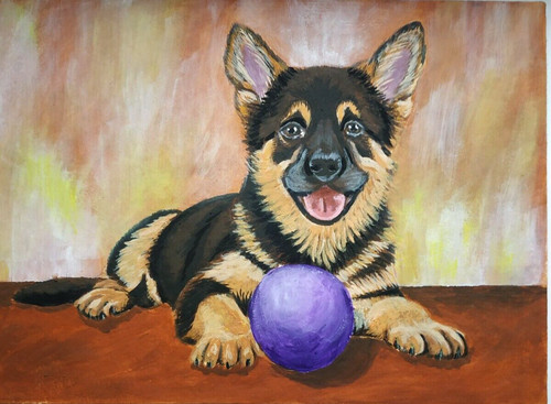 German shepherd puppy - german,