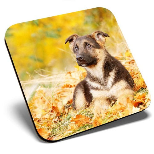 Square single coaster german - single,