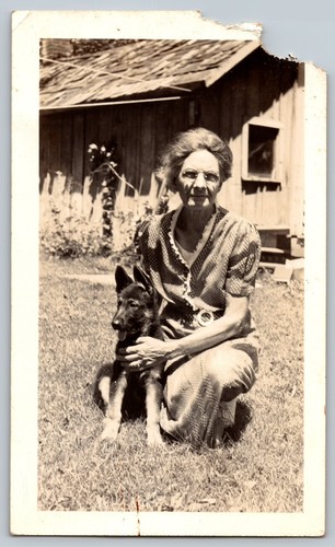 B173 german shepherd puppy - b173,