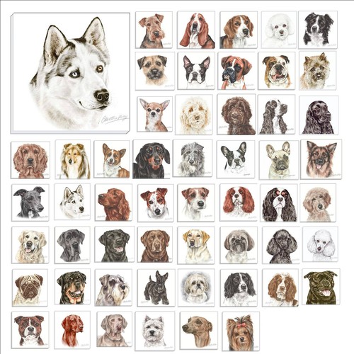Waggydogz canvas dogs and - waggydogz,