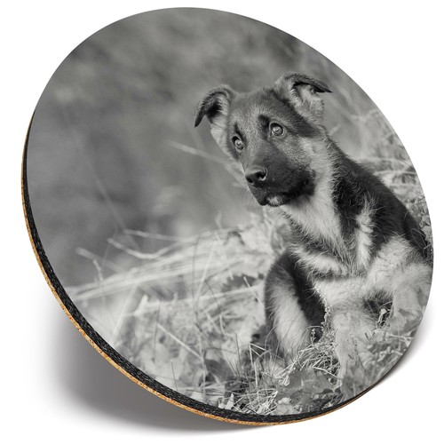 Round single coaster bw - -,