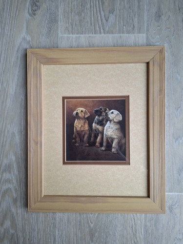 Nigel hemming framed dog - nigel,