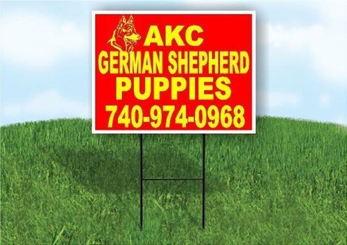Akc german shepherd 740974 - akc,