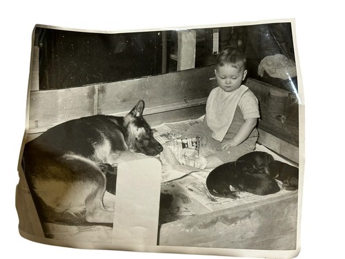 Vintage 1957 black white - 1957,