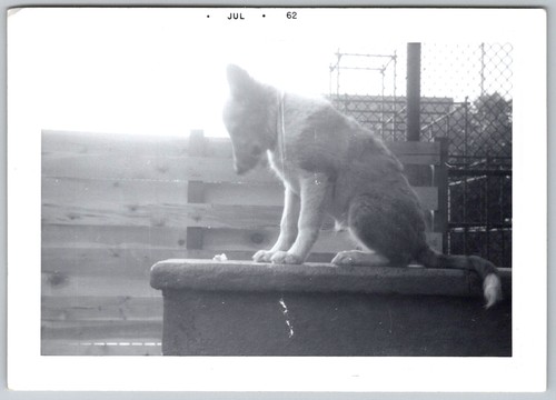 Vtg snapshot cute german - snapshot,