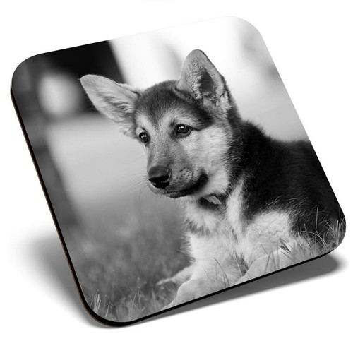 Square single coaster - square,
