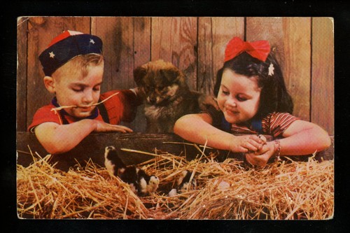 Dog puppy postcard german - dog,