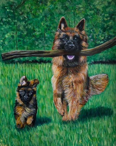 German shepherd dogs - german,
