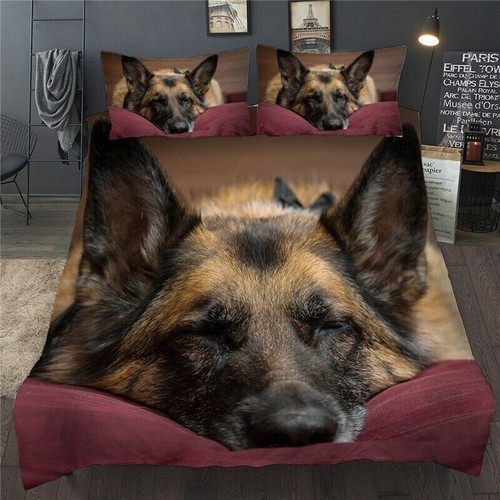 Sleeping german shepherd - sleeping, dog