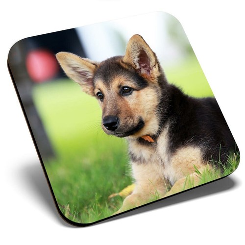Square single coaster - single,