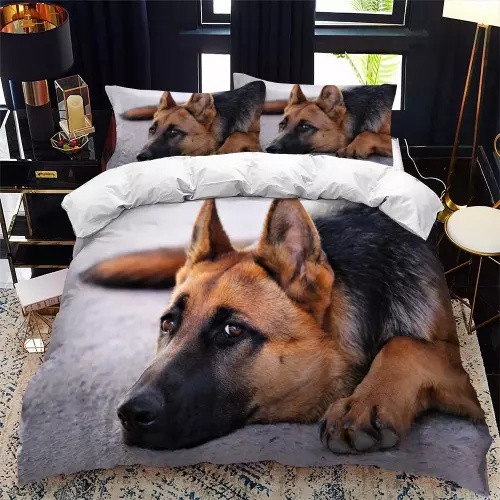 German shepherds dog - dog, bedding