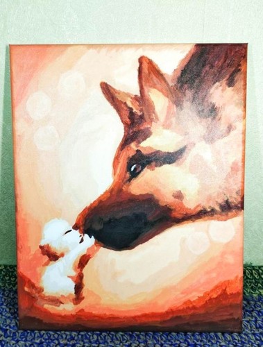 German shepherd white - shepherd, &