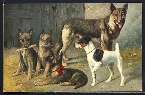 German shepherd with puppies - with,