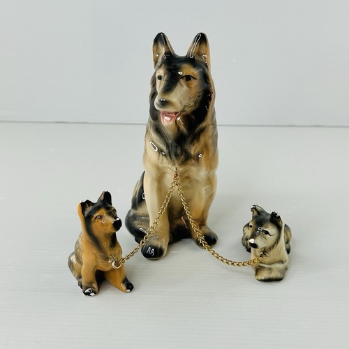 German shepherd dog - shepherd, family