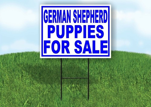 German shepherd puppies for - german,