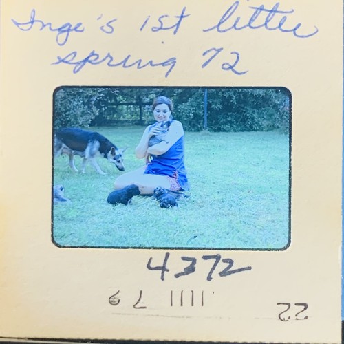 1972 35mm slide inge - 1972,