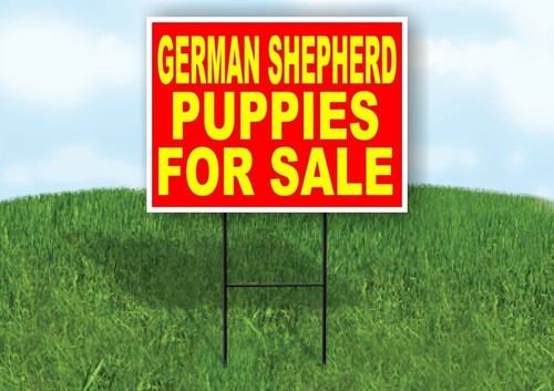 German shepherd puppies - shepherd, for