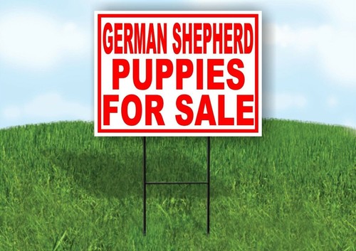 German shepherd puppies for - shepherd,